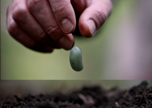 Otra economía Plantando